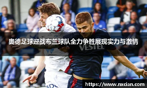 完美体育登录入口