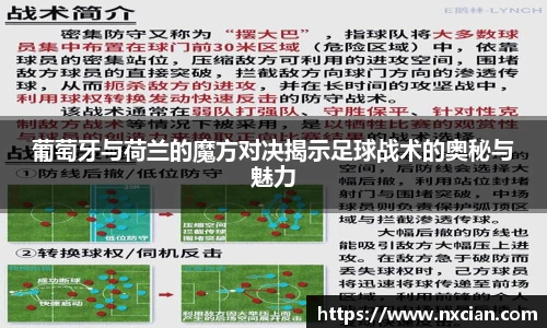 完美体育登录入口