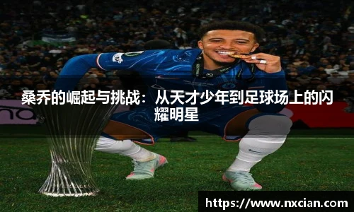 完美体育官网